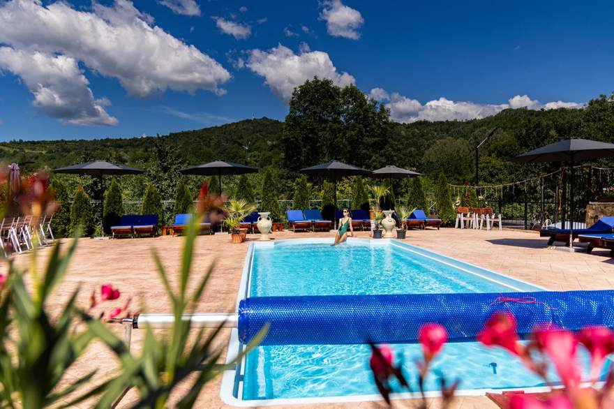 Piscina, văzută din grădină